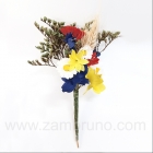 FLOR FLAMENCA SILVESTRE