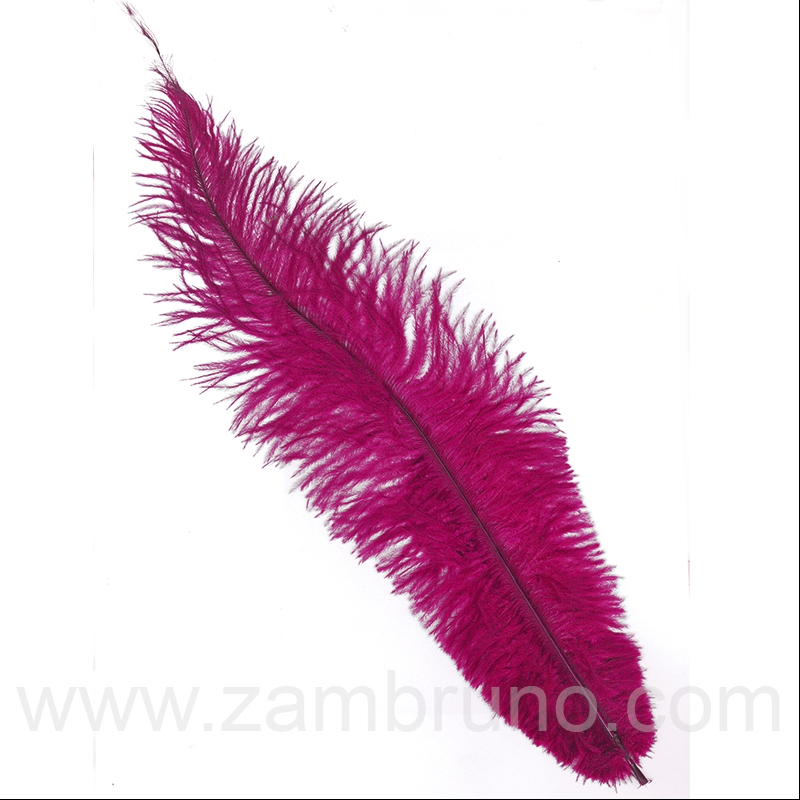 PLUMA AVESTRUZ