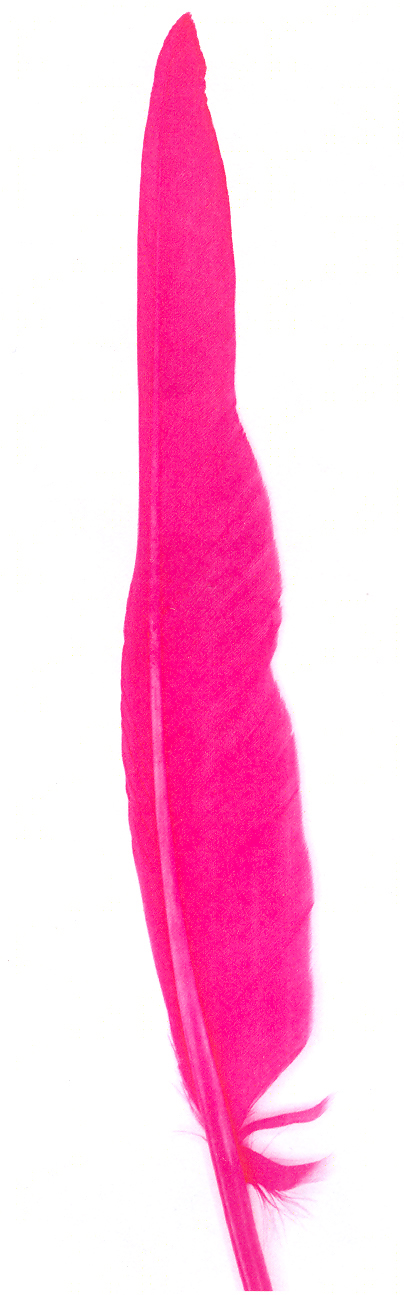 PLUMA