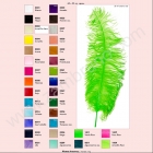 PLUMA AVESTRUZ