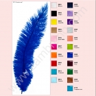 PLUMA AVESTRUZ