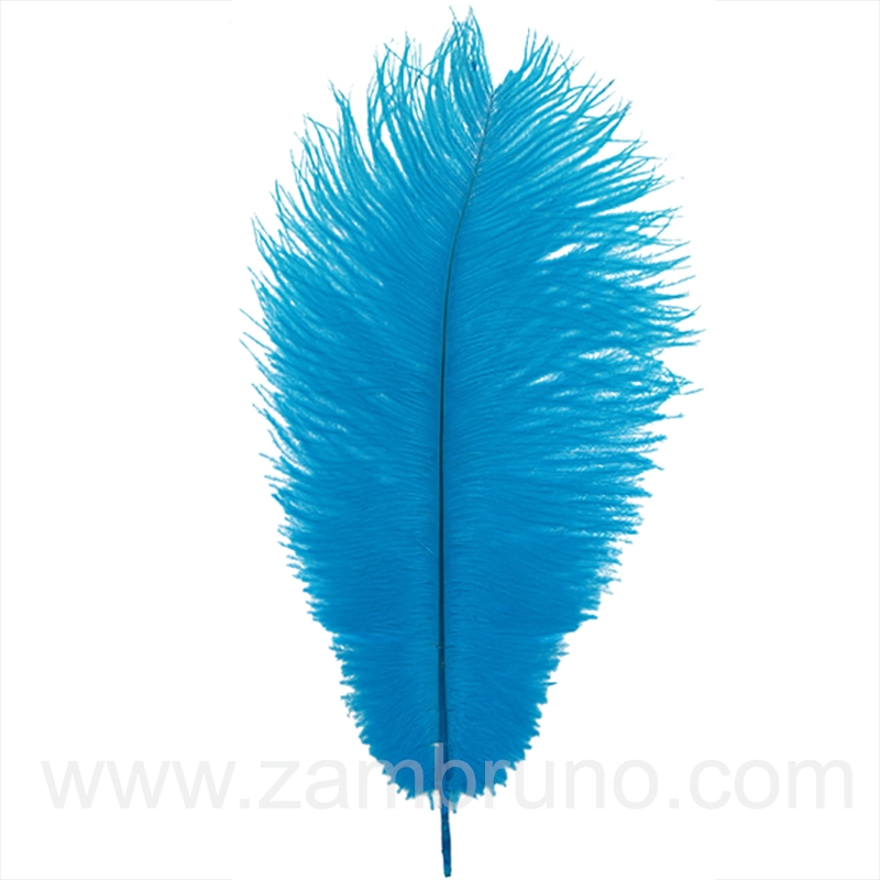 PLUMA AVESTRUZ